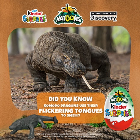 Kinder top joy animals