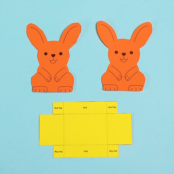 Bunny step1