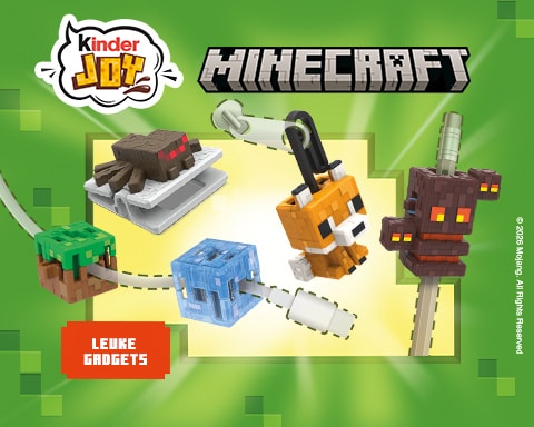 MC_toy_caroudsel_480x384_nl-2