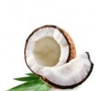 Coconut Coconut