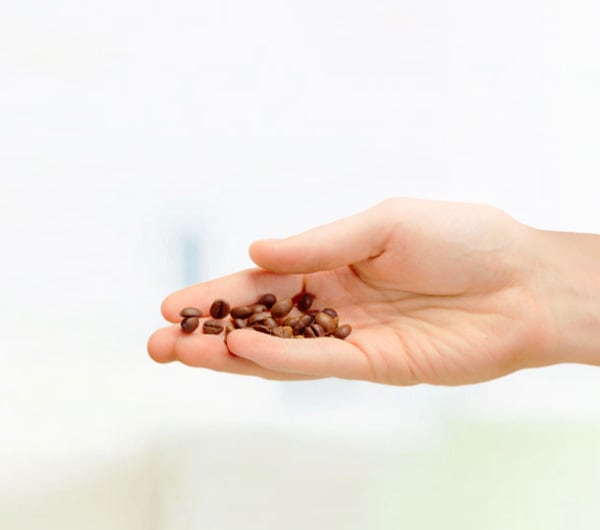 New header coffee