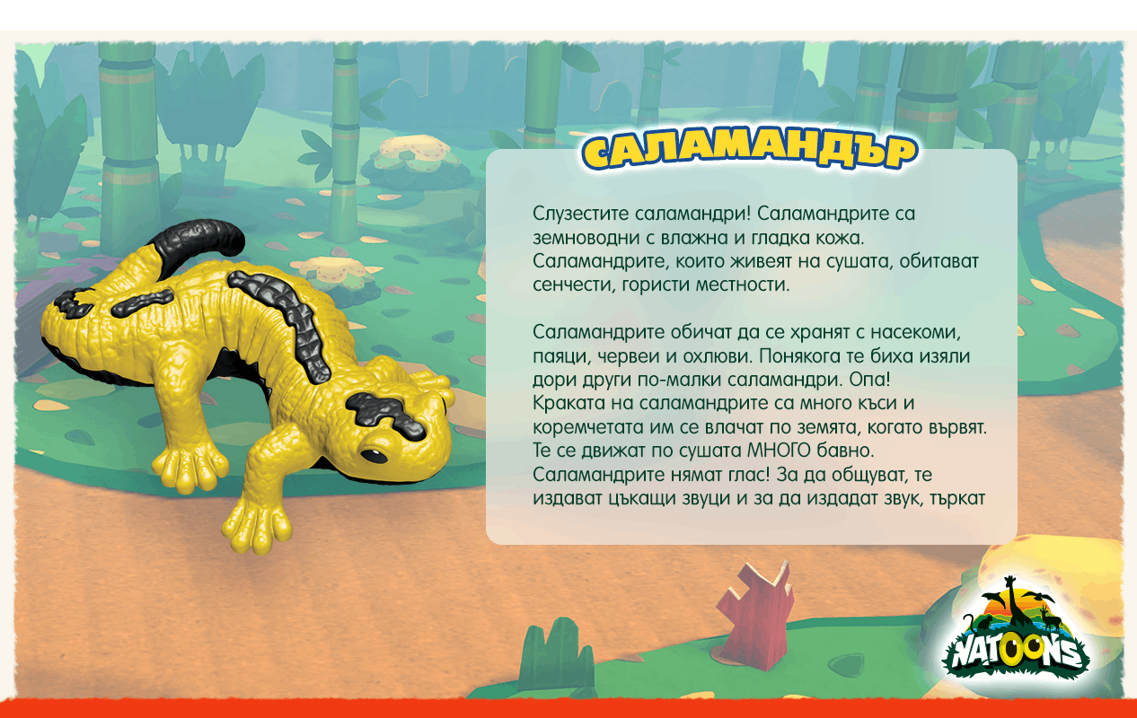 NATOONS HABITAT - Salamander Facts NATOONS HABITAT - Salamander Facts