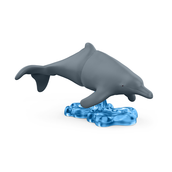 dolphin