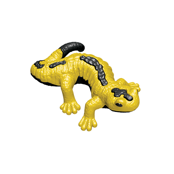 salamander