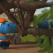 Happos-Construtor-Video Happos-Construtor-Video