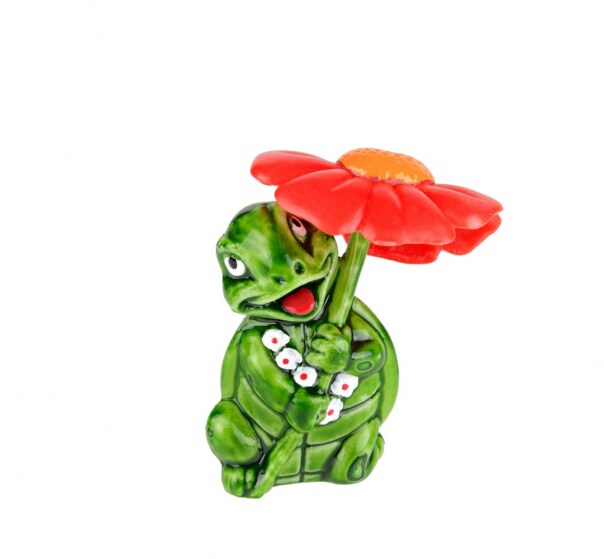 A placeholder image