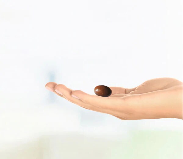 New header glazing agents New-header-glazing-agents