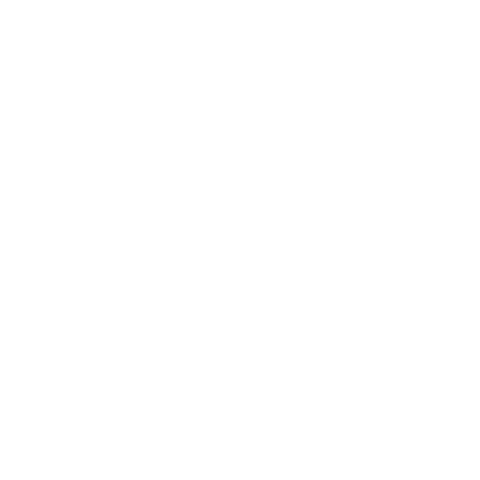 Joy of Moving - social media 