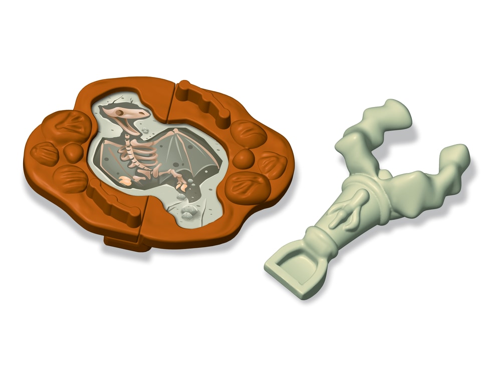 Hledání zkamenělin