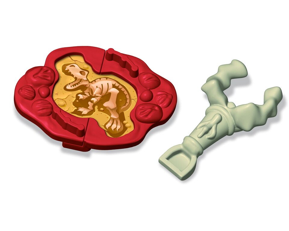 Hledání zkamenělin