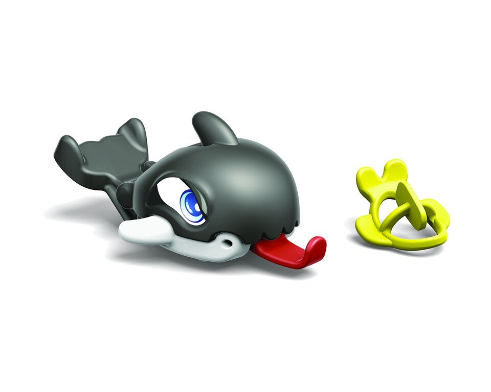 Krmení mořských tvorů