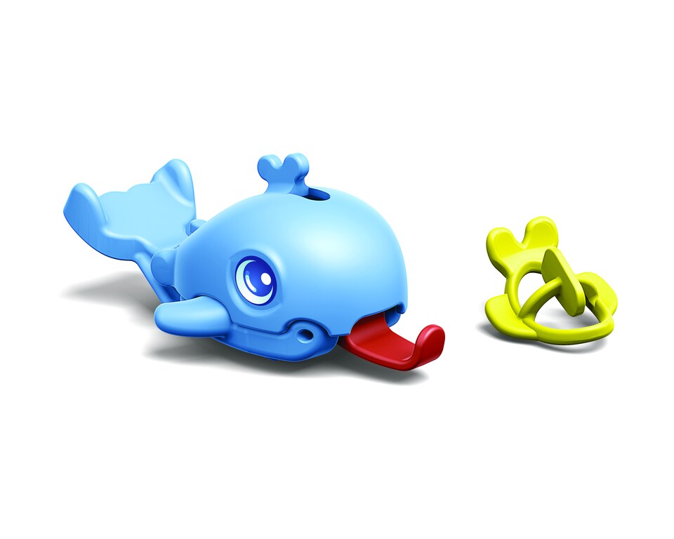 Krmení mořských tvorů