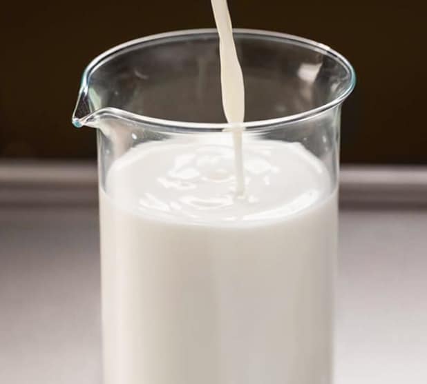 Header Milk Header Milk