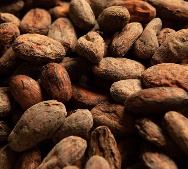 Header Cocoa