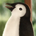 kinder Pingui Ole gif-thumbs