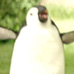 kinder Pingui Ole gif-thumbs