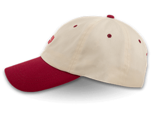 Friends dont lie Cap