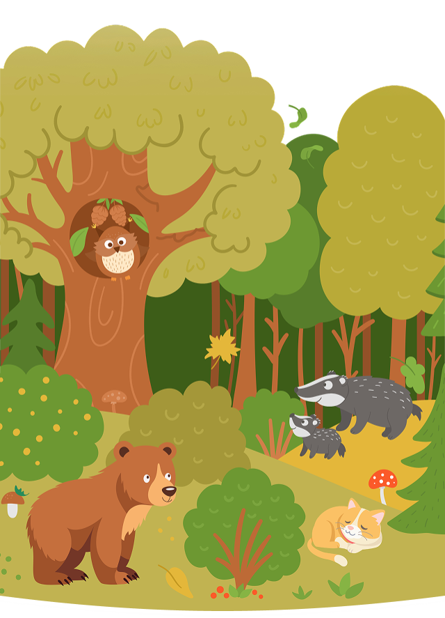 Interactive forest scene with cute woodland animals including owl, bear, badgers, and sleeping cat