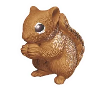 Eichhörnchen