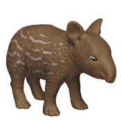 Tapir