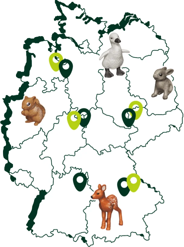Natoons Map