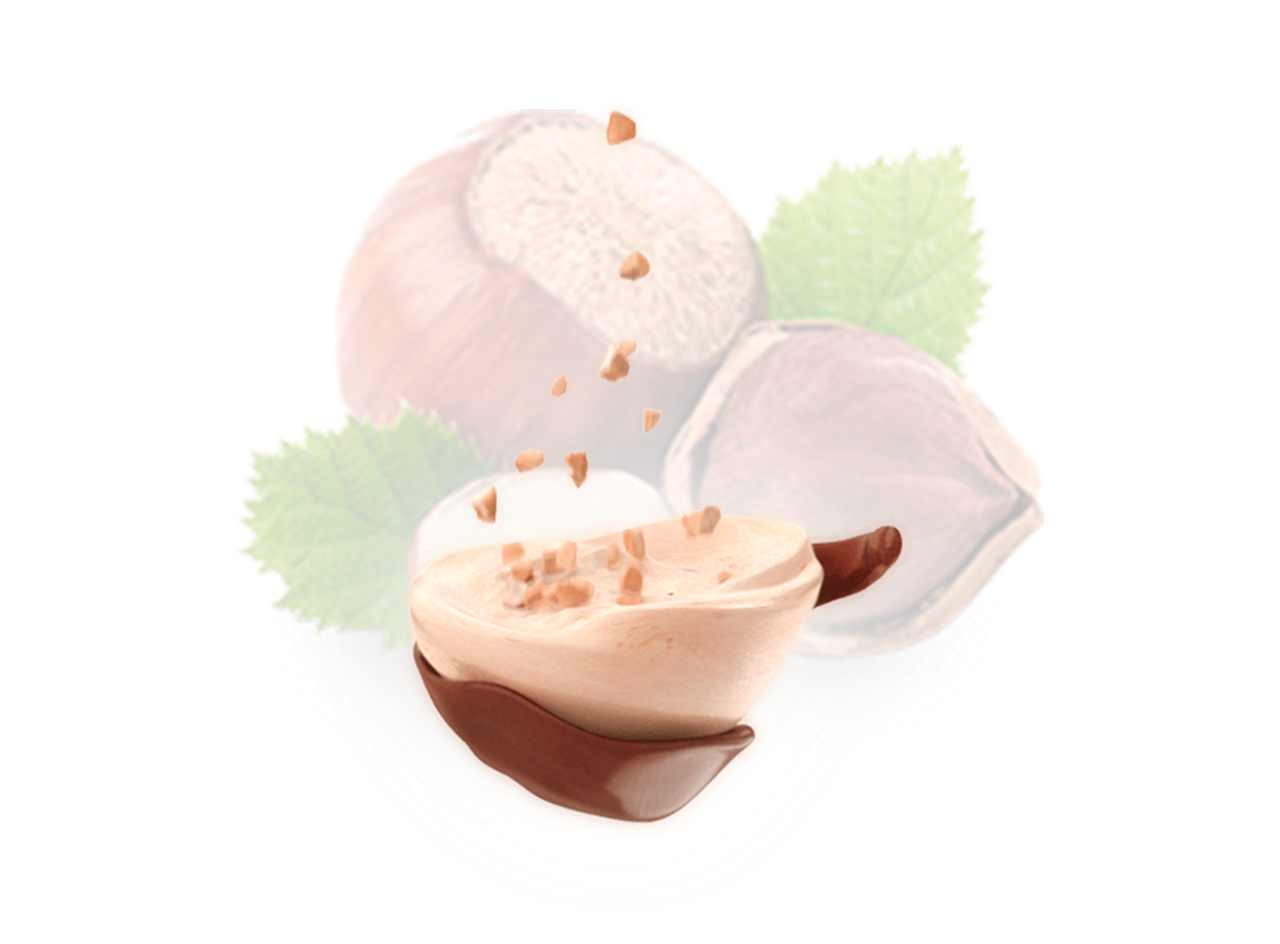 kinder Schoko-Bons - Produktherstellung - Haselnuss