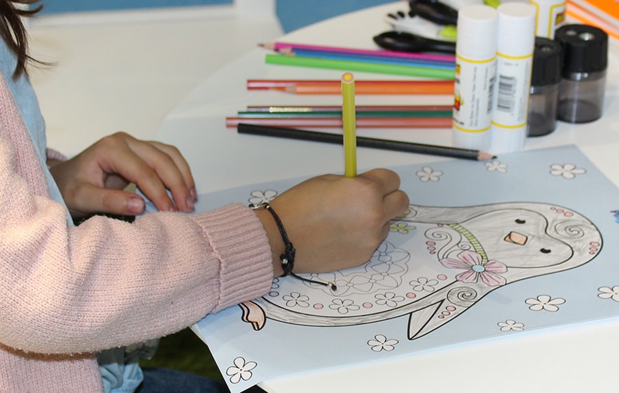 kinder Pingui - Malen & Basteln