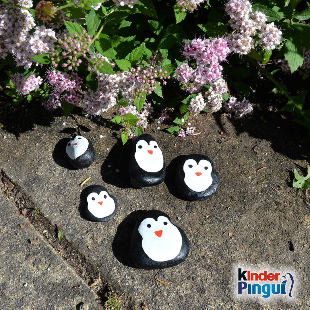 Pinguin-Steine - Titlebild