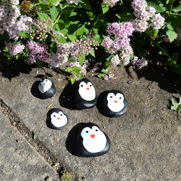 Pinguin-Steine