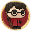 Harry Potter Quidditch - Harry Potter