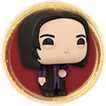 Harry Potter Quidditch - Severus Snape 