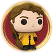 Harry Potter Quidditch - Cedric Diggory 