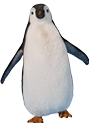 Ole kennenlernen