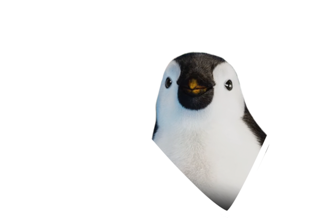 kinder Pinguí Purpose