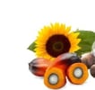 Fats oils 2