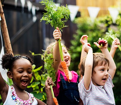 Milch-Schnitte  - Alle-Voegel-fliegen-hoch