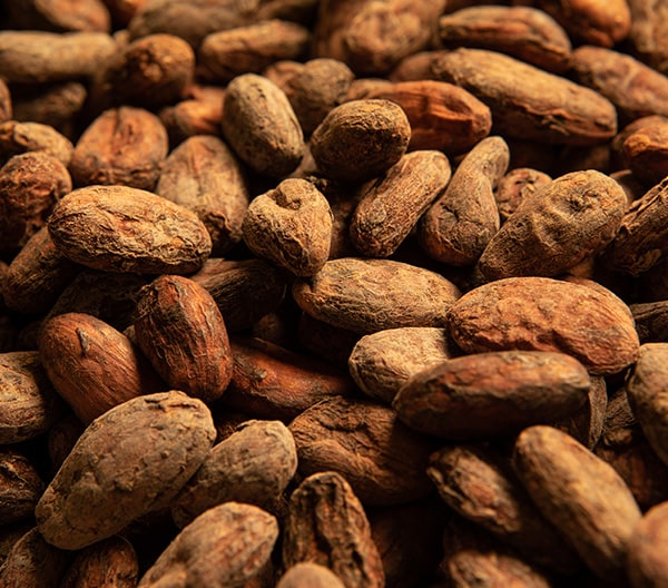 Header Cocoa 5VfUB5VJ Header Cocoa 5VfUB5VJ