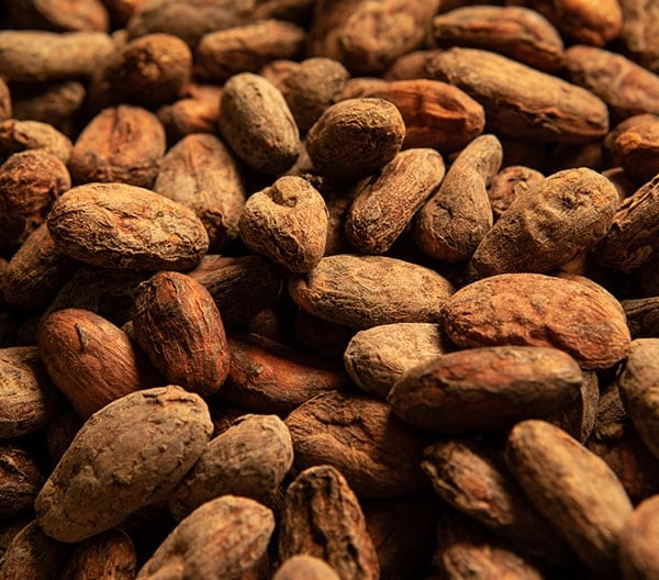 Header Cocoa 5VfUB5VJ