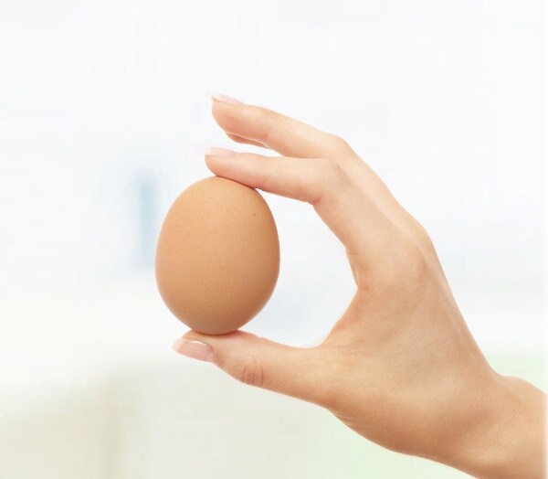 New header eggs