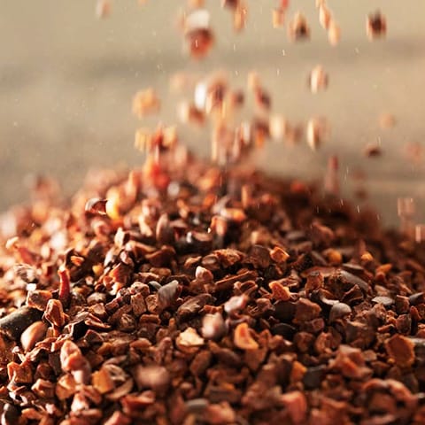 Cocoa part 2