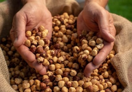 Nuestros ingredientes