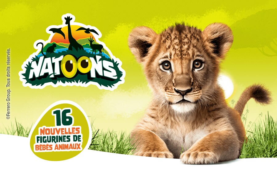 HEADER-PAGE-LICENCE-MOBILE-900x573-NATOONS-2025