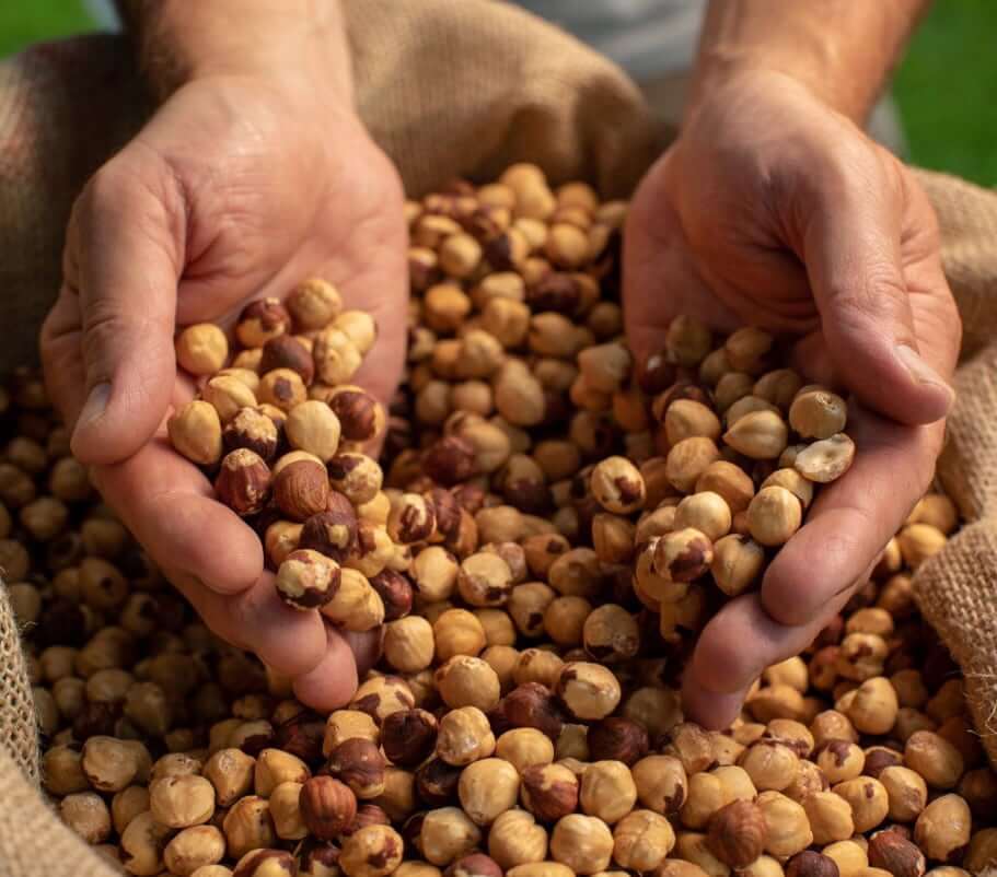 Hazelnuts Hazelnuts