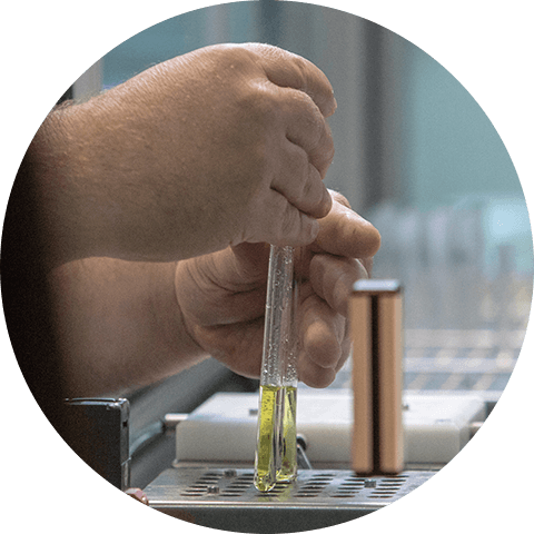 Palm Oil Part 2 Palm Oil Part 2