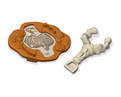 bones-discovery.png