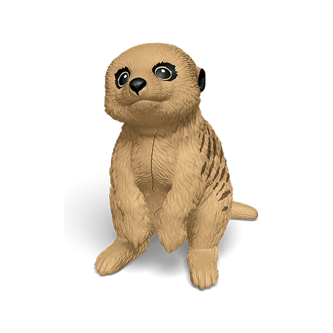 meercat.png