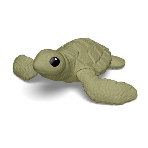 sea-turtle.png