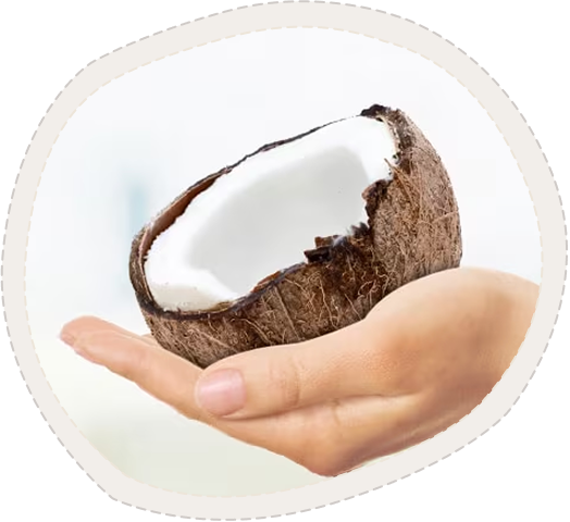 Kokos ingredients