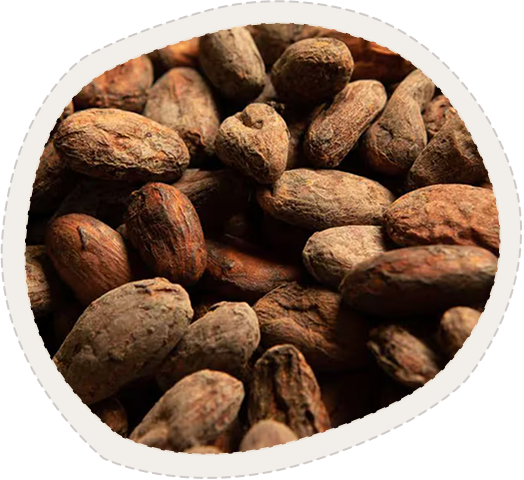 Chocolate ingredients