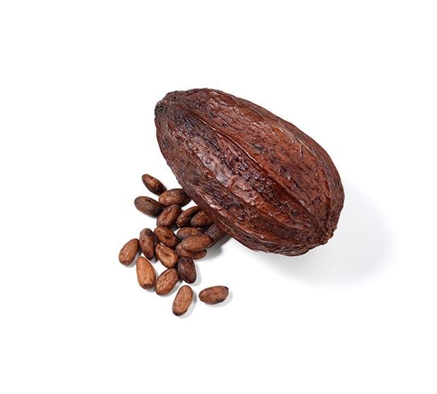 Hub Cocoa hoover